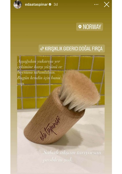 Doğal Yüz Fırçası
