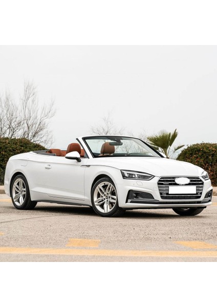 Audi A5 Cabrio 2017-2020 Ön Motor Kaput Amortisörü 1 Ad. 8W0823359B