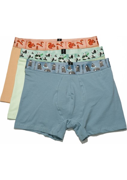 3'lü Erkek Boxer - Eco Characters - Ecological fiyatları