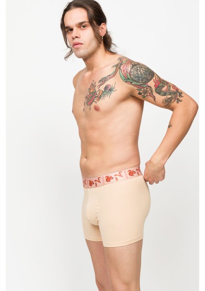 3'lü Erkek Boxer - Eco Characters - Ecological fırsatları