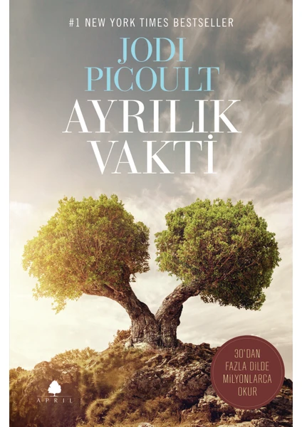 Ayrılık Vakti - Jodi Picoult