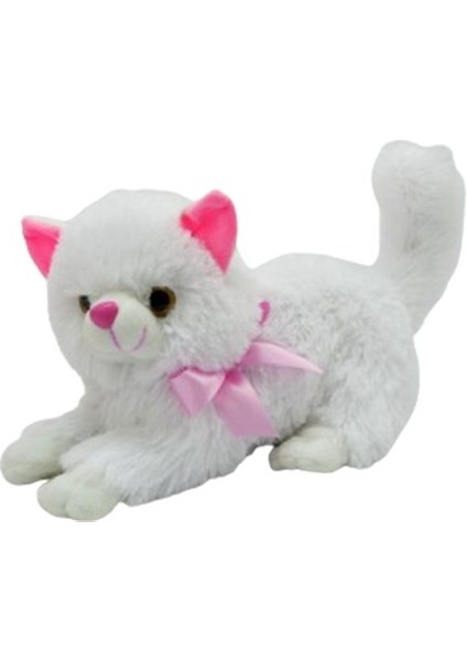 Iri Gözlü Kedi Peluş 30 cm 62696