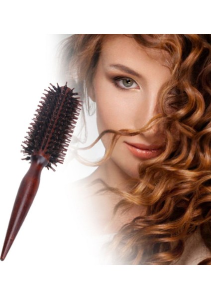 Taşınabilir Kadın Saç Fırçası Tarak Yuvarlak Anti-Statik Kıvırcık Fırça Doğal Kıl Ahşap Saplı Saç Şekillendirici Tarak Kuaför Araçları (Yurt Dışından) indirimleri