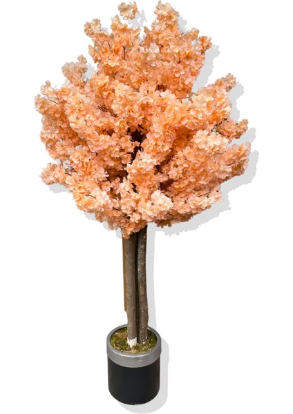 Yapay Ağaç Bahar Dalı 160 cm Gümüş Kemerli Saksı fiyatları