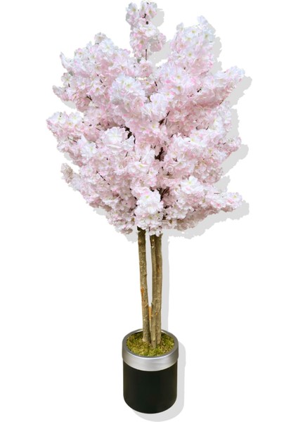 Yapay Ağaç Bahar Dalı 180 cm Gümüş Kemerli Saksı