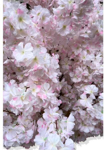 Yapay Ağaç Bahar Dalı 180 cm Gümüş Kemerli Saksı fırsatları