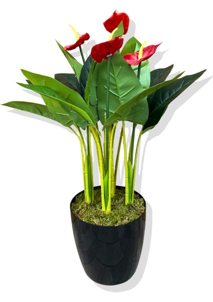 Yapay Bitki Antoryum 80-85 cm