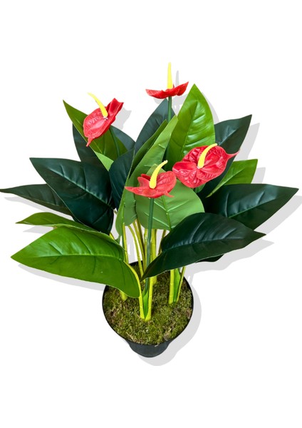 Yapay Bitki Antoryum 80-85 cm fiyatları