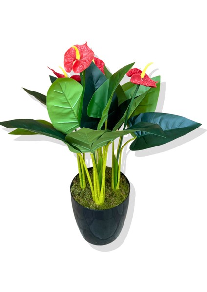 Yapay Bitki Antoryum 80-85 cm modelleri