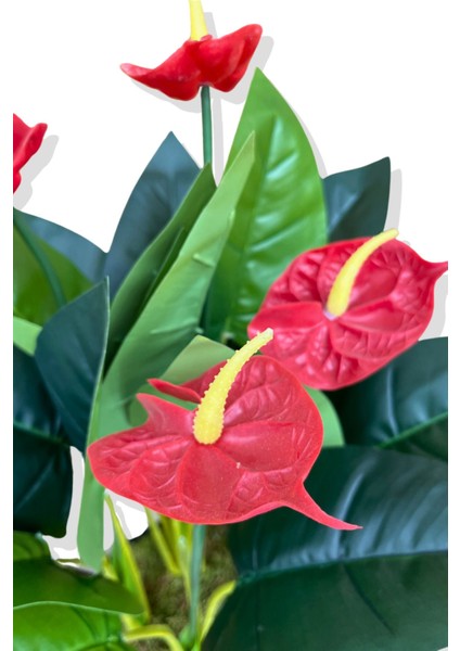 Yapay Bitki Antoryum 80-85 cm fırsatları