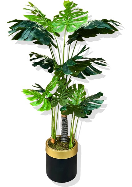 Monstera Yapay Ağaç 3 Gövde 170-175 cm