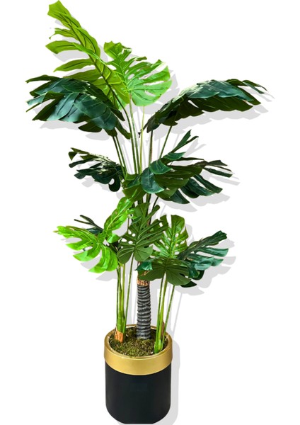 Monstera Yapay Ağaç 3 Gövde 170-175 cm
