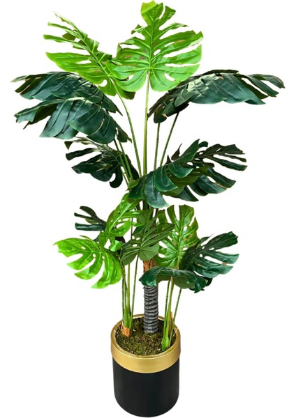 Monstera Yapay Ağaç 3 Gövde 170-175 cm