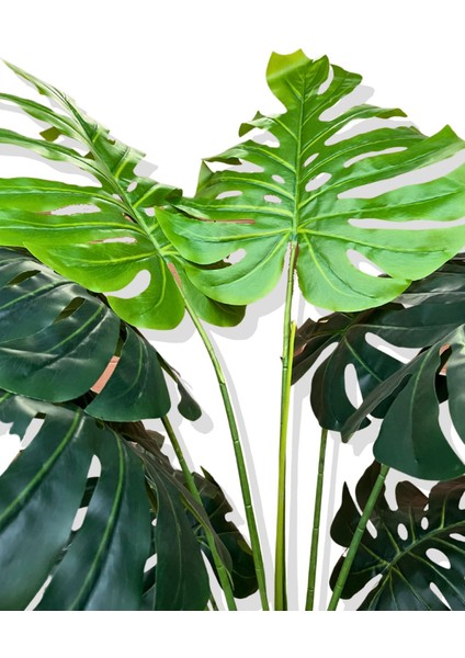 Monstera Yapay Ağaç 3 Gövde 170-175 cm