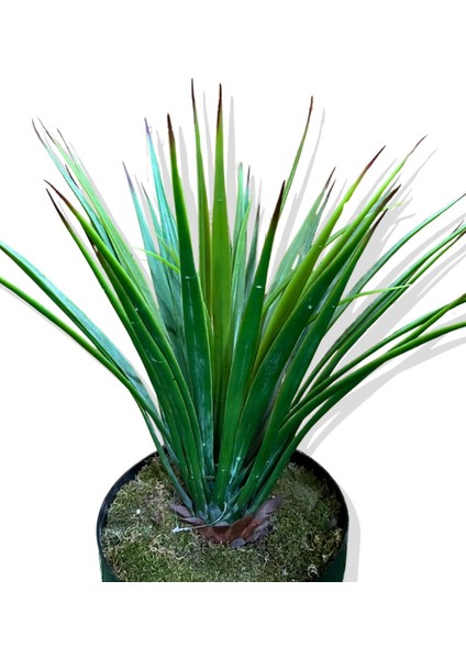 Yapay Agave Bitkisi 60 cm fırsatları