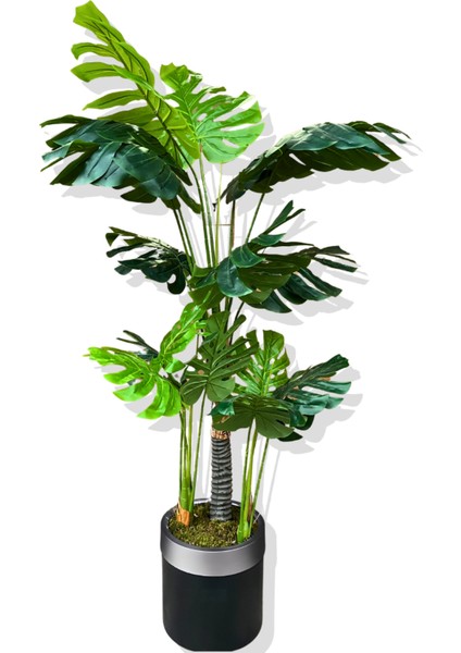 Monstera Yapay Ağaç 3 Gövde 170-175 cm