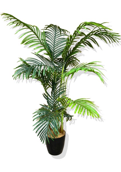Yapay Ağaç Areka 160-170 cm 6 Gövde 17 Yaprak fırsatları
