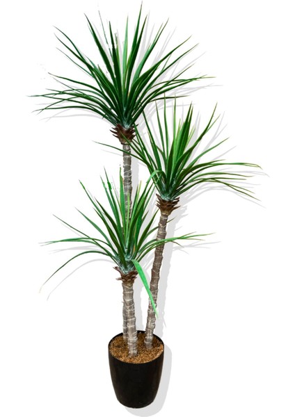 Yapay 3 Gövde Madagaskar Ejderha Ağacı 150 cm fiyatları