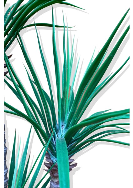 Yapay 3 Gövde Madagaskar Ejderha Ağacı 150 cm fırsatları