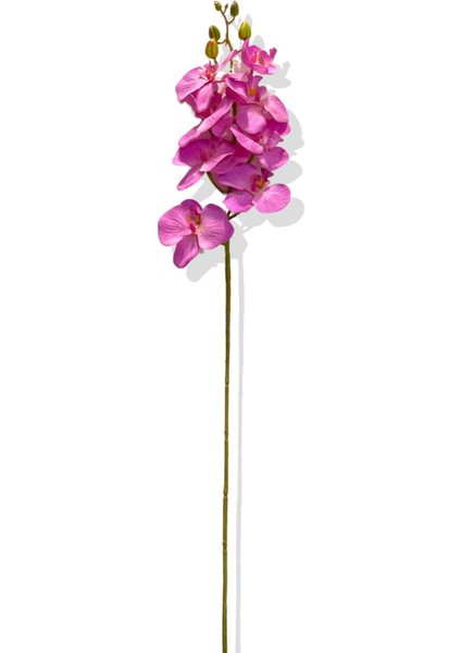 Yapay Tek Dal Orkide 78 cm