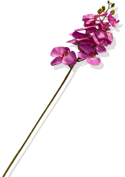Yapay Tek Dal Orkide 78 cm