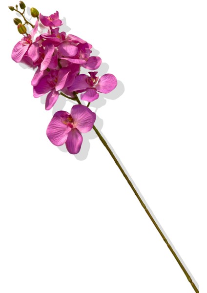 Yapay Tek Dal Orkide 78 cm