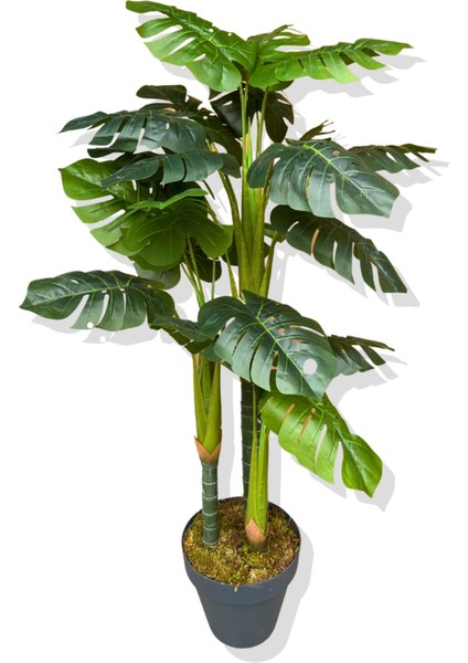 Monstera Yapay Ağaç 3 Gövde 150 cm