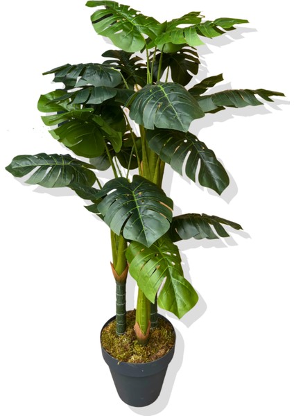 Monstera Yapay Ağaç 3 Gövde 150 cm fiyatları