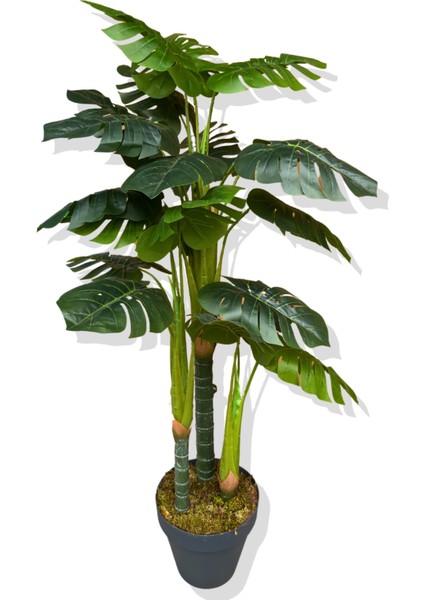 Monstera Yapay Ağaç 3 Gövde 150 cm modelleri