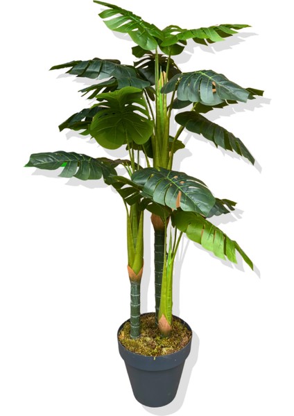 Monstera Yapay Ağaç 3 Gövde 150 cm fırsatları