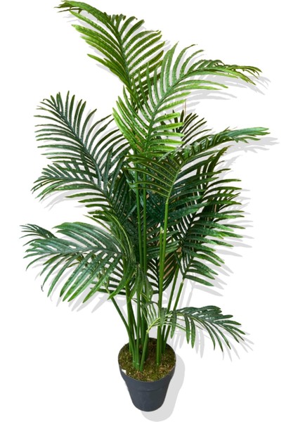 Areka Yapay Ağaç 6 Gövde 165-175 cm modelleri