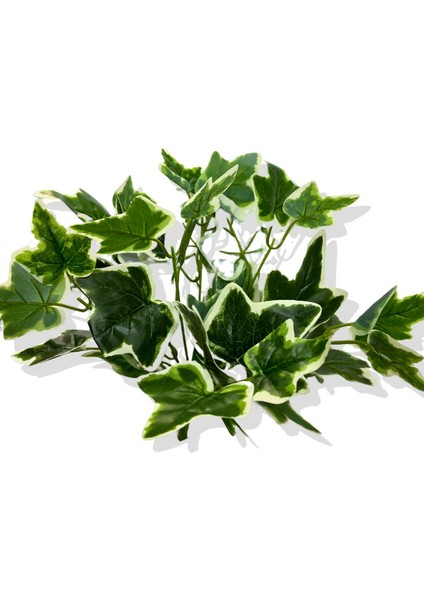 Yapay Bitki Hedera Sarmaşığı Demeti 30 cm fiyatları