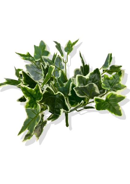 Yapay Bitki Hedera Sarmaşığı Demeti 30 cm modelleri