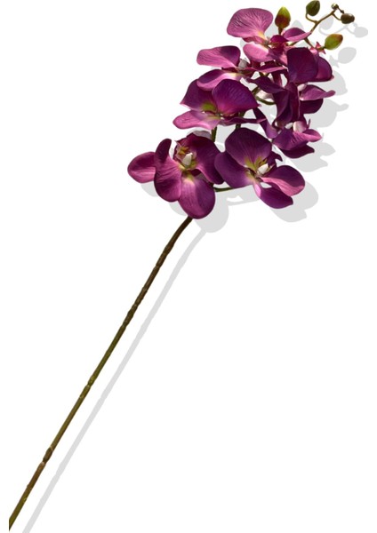 Yapay Tek Dal Orkide 78 cm