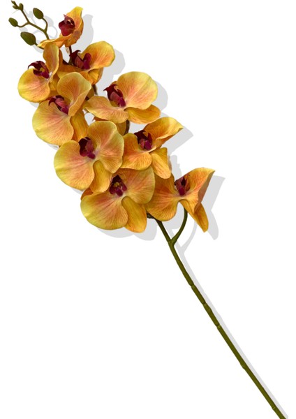 Yapay Tek Dal Islak Orkide 95 cm