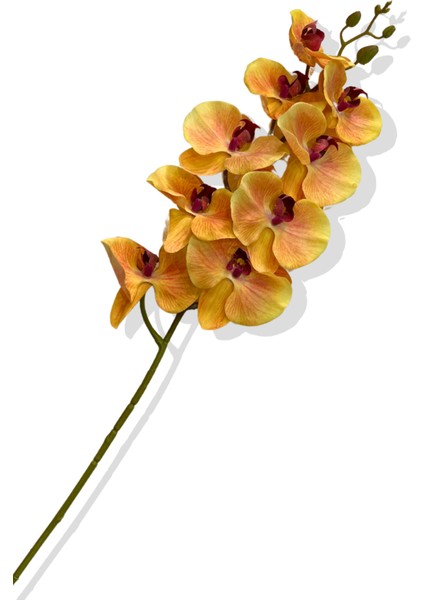 Yapay Tek Dal Islak Orkide 95 cm