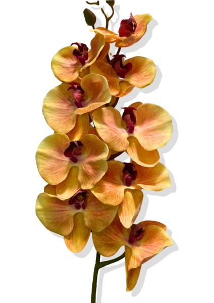 Yapay Tek Dal Islak Orkide 95 cm
