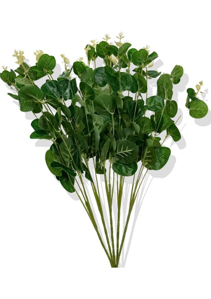 Yapay Okaliptus Demeti 50 cm 5 Dal 20 Kafa fırsatları