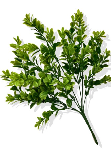 Yapay Şimşir Demeti 35 cm 7 Dal modelleri