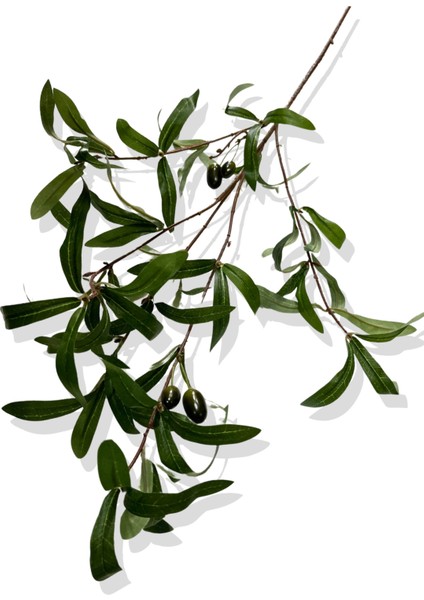 Yapay Zeytin Dalı Demeti 88 cm modelleri