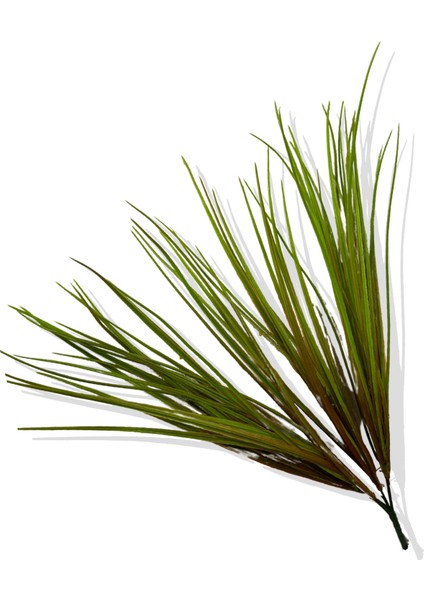 Yapay Bitki Saz Demeti 45 cm 5 Dal