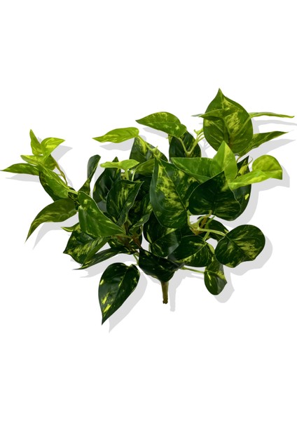 Yapay Sarmaşık Demeti 42 cm 7 Dal