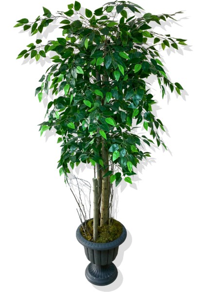 Yapay Ağaç Benjamin 150 cm Nergiz Saksı