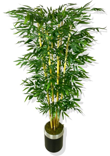 Yapay Yapraklı Bambu Ağacı 7 Bambulu 180 cm 30X25 Gümüş Kemerli Saksı