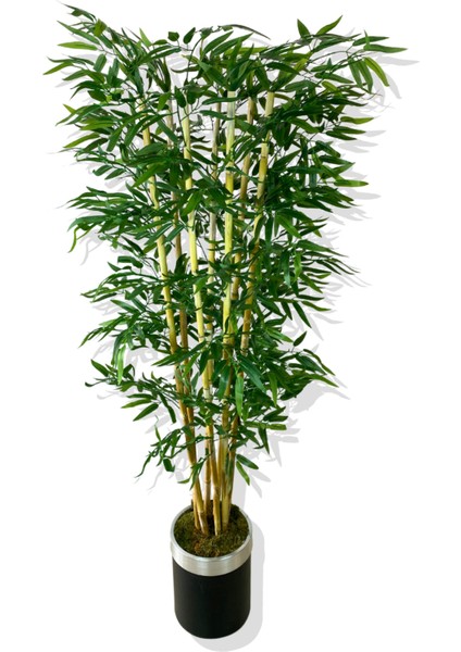 Yapay Yapraklı Bambu Ağacı 7 Bambulu 180 cm 30X25 Gümüş Kemerli Saksı modelleri