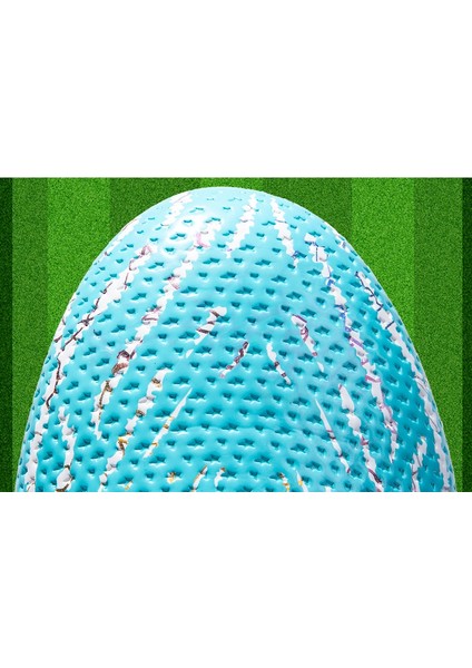 Şık Profesyonel Eğitim Spor Futbol Botları (Yurt Dışından)