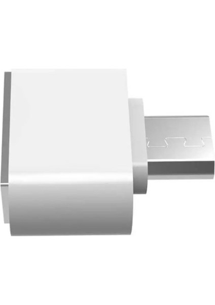 Metal Kasa Type C To USB 3.1 Otg Data Çevirici Adaptör Hızlı Aktarım