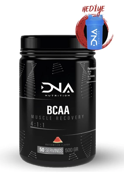 Dna Nutrition Bcaa 4:1:1 Karpuz Aromalı 500 gr