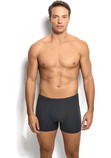 Erkek Bambu Füme Boxer 278