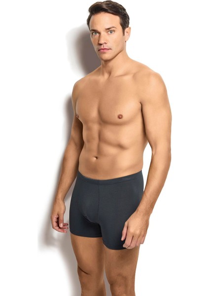 Erkek Bambu Füme Boxer 278 fiyatları